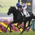 【日本ダービー見どころ】3歳クラシック2冠を目指すロブチェン