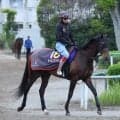 【日本ダービー・角田の特注馬】過去最高の動き！　ライヒスアドラーと佐々木大輔騎手が同期・今村聖奈騎手に続くＧ１初制覇だ