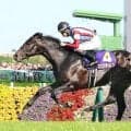 ロブチェンなど出身馬が大活躍　ノーザンファームミックスセールが２日間開催へ「多くの馬主様から需要が増加」