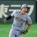 【阪神】藤川監督「勝ち負けは別にして」ドラ１立石正広＆巨人ドラ１竹丸和幸に願ったこと