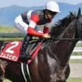 【日本ダービー】セレクト5.9億円のエムズビギン 史上最高価格のJRA重賞勝ち馬となるか