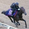 【日本ダービー】ルメール騎手が能力信じて継続騎乗のパントルナイーフ　陣営「そこは素直に受け止めている」