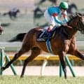 【目黒記念想定騎手】ウィクトルウェルスはC.ルメール騎手、ダノンシーマは川田将雅騎手