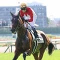「さすがレジェンド」「すごく綺麗な映像」競馬の祭典でも“ブレない”武豊騎手にファン感動　ＪＲＡジョッキーカメラ公開
