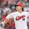 【広島好き】カープが交流戦で戦う北海道日本ハムファイターズを調べてみた
