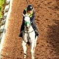 【安田記念】ガイアフォースが１２回目のＧ１挑戦で今度こそ　陣営「不安なく競馬にいけるのはいいですね」