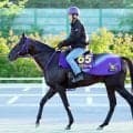 【安田記念】トロヴァトーレが抜群の推進力を披露　鹿戸調教師「１コーナー過ぎまで加速していたし良かった」