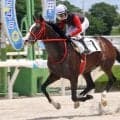 【園田競馬】吉村智洋騎手が２Ｒで地方通算３９００勝を達成「今年中には４０００勝を」