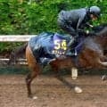 【安田記念】オフトレイルが豪雨に負けず軽快な動き　吉村調教師「思い切った競馬をしてもらうつもりです」