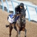 【Ｇ１特捜リレー】美浦・西山の狙いは紅一点の桜花賞馬　陣営の地道な努力が実を結ぶ