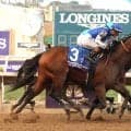 【メトロポリタンＨ】「強い！トップハンデ関係なし！」ナイソスが４馬身差の圧勝　サウジＣはフォーエバーヤングに続く２着
