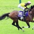 【安田記念】ＮＨＫマイルＣ勝った東京でＧ１・２勝目ならずパンジャタワーは５着　松山弘平騎手はダービーからの連勝逃す
