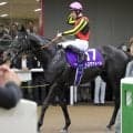 【安田記念】昨年ブービーからの下克上ならず…２番人気トロヴァトーレは９着　重賞連勝は２でストップ