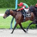 【阪神１１Ｒ・水無月Ｓ】昇級初戦アンズアメが頭差の接戦制す　川田将雅騎手「気持ちの強い偉い子だと思いました」