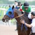【安田記念】「武豊さんに大変感謝」シックスペンスの仏ジャックルマロワ賞参戦は「チームで相談」キャロットＦ黒田代表