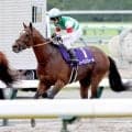 【安田記念】５度目の挑戦も…３番人気レーベンスティールは７着　戸崎圭太騎手「いい感じで行けましたが...」