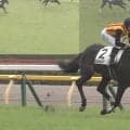 「強すぎる」大注目新馬が“舌出し”カメラ目線？ エフフォーリア産駒“一番星”圧巻レースにファン興奮「これは本物」