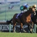 【英コロネーションC】世界ランク1位カランダガンが40馬身超離される大敗