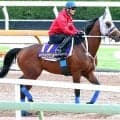 【宝塚記念】メイショウタバル、安田記念制覇の武豊といざ春のグランプリ連覇へ