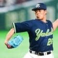 ヤクルト・山野太一が「JERA セ・リーグ AWARD」5月度大賞　鳥谷氏「チーム支えている」