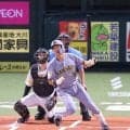 阪神・立石正広 11試合ぶりの2号