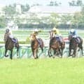【宝塚記念過去10回傾向】1番人気馬の信頼度は低め 伏兵の台頭も目立つ一戦