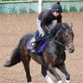 【宝塚記念】有馬記念から直行で連勝なら７７年トウショウボーイ以来　ミュージアムマイルが偉業に挑む