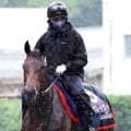 【宝塚記念】２４年の有馬記念V　レガレイラ、5歳になっても闘志メラメラ「まだ競馬で頑張っている気持ちを持ち合わせている」