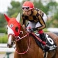 【函館スプリントS】レース史上初の母仔Vなるか モズナナスターが初タイトル狙う