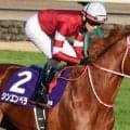 22年ぶり6頭目の外国産馬Vなるか シンエンペラーが宝塚記念で復活狙う
