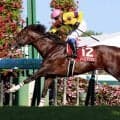 ２４年札幌記念を制したノースブリッジが肺出血の再発で引退　誘導馬を目指す　奥村武厩舎がＸで発表
