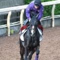 【注目馬動向】ヴィクトリアマイル２着のカムニャック　秋はアイルランドＴから始動予定