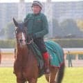 ＪＣ１、２着馬が再戦　衝撃の４１馬身半差大敗から反撃狙うカランダガンが１番人気　マスカレードボールが２番人気　英Ｇ１”キングジョージ”
