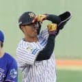 ソフトバンク柳町達ら登録 10日公示