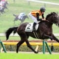 【ＰＯＧ】新馬戦快勝の大物候補ジョドレルバンクが放牧へ　武井調教師「特に脚元も問題なく、メンタルも...」