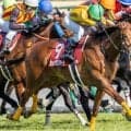 古川吉洋騎手が14年ぶり3回目の宝塚記念参戦 シェイクユアハートで29年ぶりのGI制覇なるか