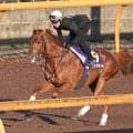 【宝塚記念】２４年ダービー馬は冷静さ十分にＣＷを単走　豪華メンバーにも安田調教師「ダノンデサイルしか映っていない」