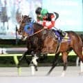 【東京ダービー】フィンガーが逃げ切って２冠達成！「３冠もあると思います」戸崎圭太騎手は手応え　優勝賞金１億円をゲット