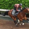 【東京ダービー】１番人気シルバーレシオは追い込み届かず２着　ユニコーンＳに続く重賞連勝はならず