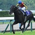 宝塚記念の傾向分析 AIもクロワデュノールを高評価