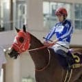 【東京ダービー】坂井瑠「勝った馬が強かった」リアライズグリントは3着