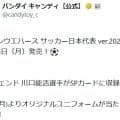「これ大好き！」川口能活氏も収録！日本－オランダ戦と同日発売、カード付きウエハースに熱視線