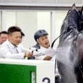 【夏至Ｓ】「先生、仕上げが甘いよ」国枝栄厩務員が担当のトクシーカイザー　９番人気２着激走に小島調教師が笑顔でジャブ
