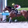 【阪神１１Ｒ・三宮Ｓ】グランドプラージュ快勝　賞金加算成功に川田将雅騎手「今日はそのために走っています」