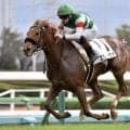 全兄はエフフォーリア エヴィーヴァが距離短縮で初勝利なるか
