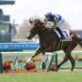 【新馬/函館5R】サートゥルナーリア産駒 ダイメイビッグボスがデビューV…余力十分の差し切り