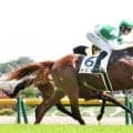 【東京６Ｒ・２歳新馬】“米国ダート最強馬”フライトライン産駒が世界初Ｖ　レーン称賛「ポテンシャルある」