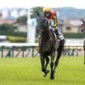 【宝塚記念予想】春のグランプリ 機動力と立ち回り問われる阪神2200m決戦