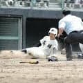 英明と蓬莱が大分・明豊にサヨナラ勝ち　香川で高校野球招待試合
