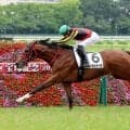 東西で新馬戦Ⅴにネット驚き隠せず「想像以上に…」「無双すぎる」エフフォーリア産駒が早くも３勝目ゲット